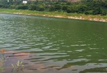 夏季钓鱼找底速成口诀 [野钓壹号]