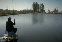 黑坑垂钓新鱼时用散炮饵的技巧