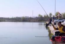 水库抛竿的4个实用技巧