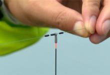 秋季黑坑如何连杆？可以从三个方面分析