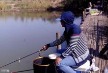 四个方面熟悉常钓黑坑，保障鱼获