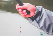 夏季水库钓白条的两个技巧