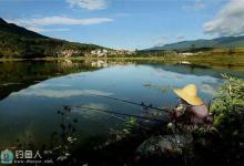 马焱谈黑坑钓鲤鱼六个诀窍