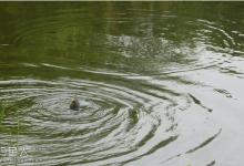 野钓溪流河的五个技巧