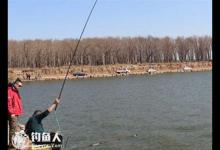 黑坑肥水塘钓鱼的实用技巧分享