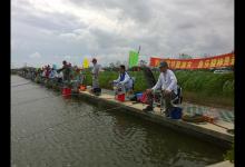 黑坑偷驴遇到扬竿不中或锚鱼如何解决？