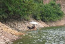 野钓水库选择钓位及饵料的技巧