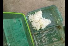 野塘低温时节米饭粒钓鲫鱼的方法