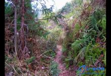 渝中花园老杜早春长湖爽钓鲫鱼