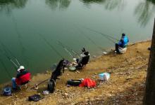 水库野钓攻略之逗钓，实施逗钓的钓组构成、要领