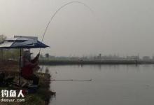 赌塘垂钓的鱼情分析及六个对策方法