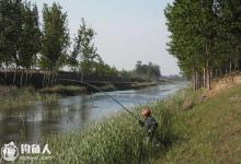 江河野钓的垂钓技法与打窝用饵技巧