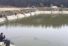 高手钓黑坑的总结，钓位饵料技巧3方面解析