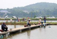 高手解答黑坑钓鱼技巧