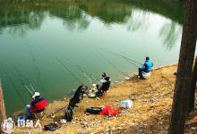 夏季水情变化对水库钓鱼的影响