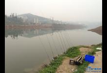 初春大盛河野钓鱼情甚好 大鲫连连