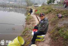 细说黑坑鱼情特点和钓位技巧