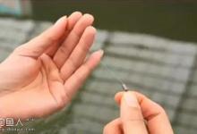 冬季大棚竞技钓鱼的一点体会