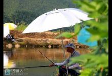 黑坑反常态的软竿细线战猾鱼技巧