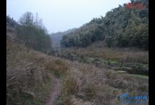 图享春日美丽小溪野钓鲫鱼[渝州老财]