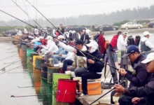 黑坑竞技钓滑口鱼技巧总结