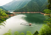 在水库湖泊进水口处诱鱼的技巧