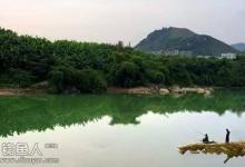 春季水库钓鲫鲤鱼讲的最好的技巧