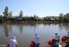 黑坑根据鱼情、季节、天气用饵的技巧