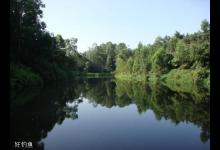 野塘钓鲫鱼需掌握这些台钓技巧