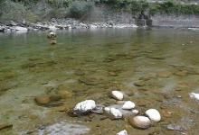 春季溪流钓出钓天气及钓位选择技巧