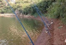 夏秋水库海竿底钓技巧（选位与布窝）