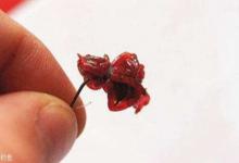 野钓的七个窍门及注意事项