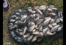 野钓增加渔获的几个技巧