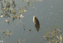 冬季自然水域垂钓的五个要点