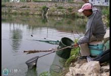 黑坑钓鱼攻略之钓位及钓饵的选择