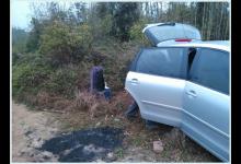 新兴大南河菜地爽钓草鱼解毒记[日日空军]