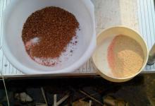 三月初陡山水库开战渔事钓获大板鲫