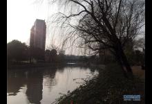 塘河小钓 拉力走入正轨[林哥哥]