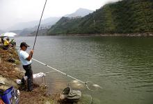 水的涨落对鱼儿活动的影响及垂钓要点