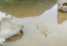 水库涨水的原因与垂钓效果的关系