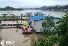 湖库涨水期钓鱼的钓具配置及选位用饵技巧