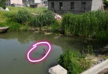 夏季溪流野钓攻略