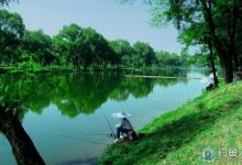 如何在大中型水库钓底层大鱼的技巧