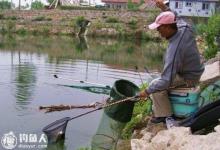 坑塘垂钓的鱼情识别及应对技巧