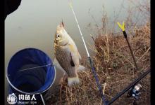 浅谈晚秋初冬北方水库钓鱼的钓位选择