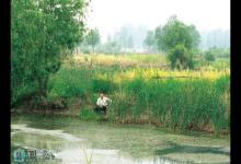 肥水塘秋季钓鱼的四要诀