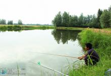 秋季草塘钓鱼五个技巧