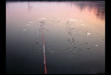 冬季来临野河封杆之钓 斩大板鲫鱼小爆护