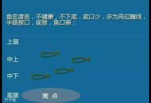 黑坑中鱼不下底的特征和应变技巧