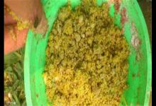 老钓友分享的水库上鲤鱼技巧，赶紧学起来